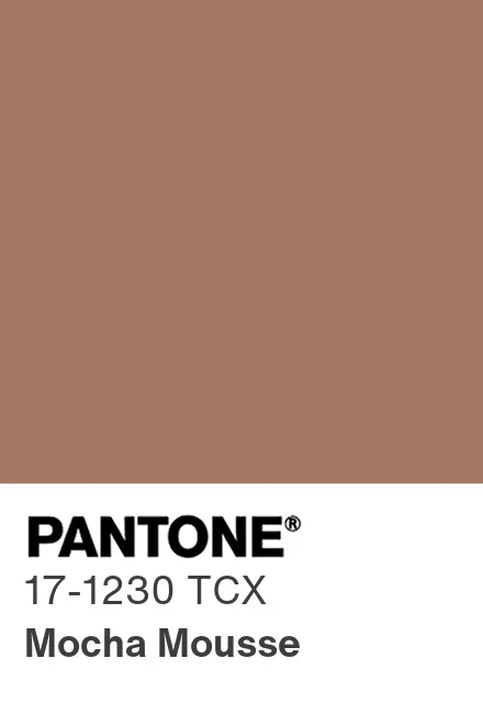 Pantone Kleurkaart 2025 Mocca Mousse